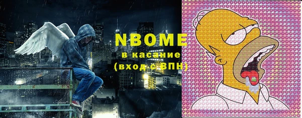 хмурый Касимов