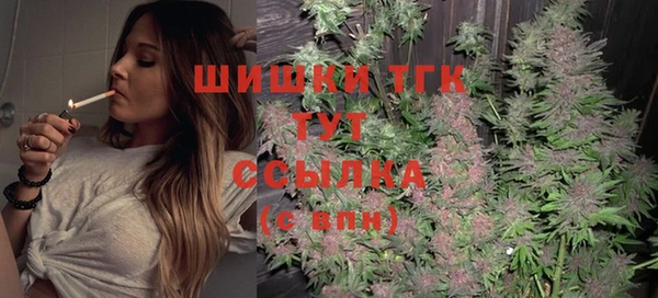 хмурый Касимов