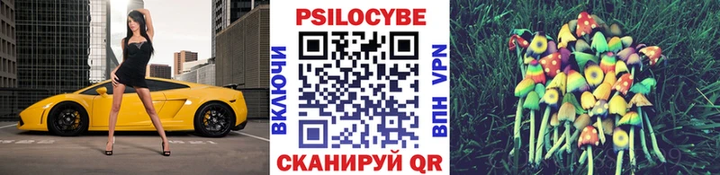 Галлюциногенные грибы мицелий  Купить закладки  Свободный 